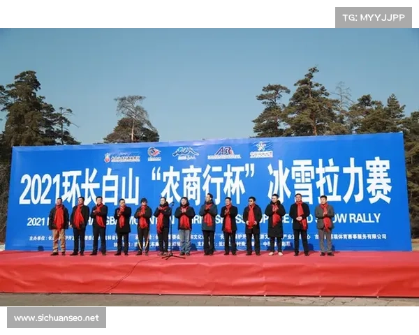 体育赛事服务公司