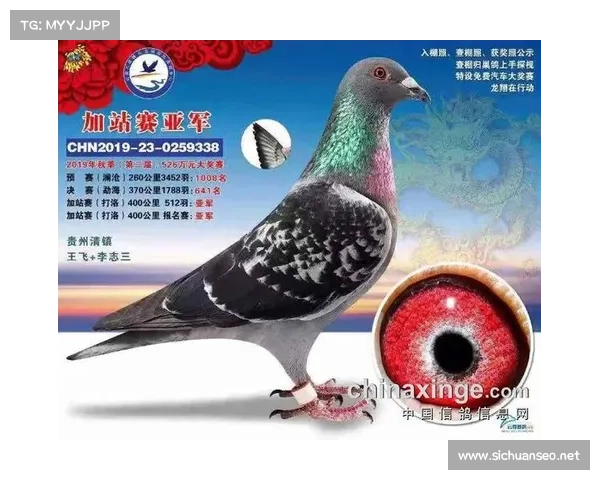 沧县信鸽协会赛事直播 沧县赛鸽俱乐部 沧县信鸽协会赛事直播 沧县赛鸽俱乐部