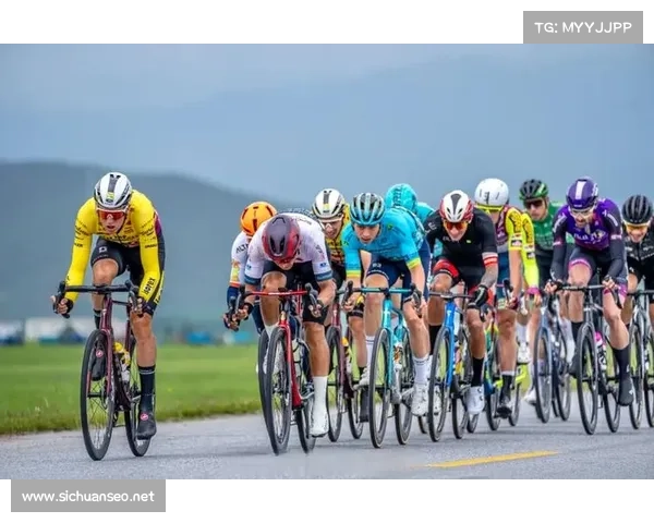 自行车赛事要求;自行车赛竞赛规则